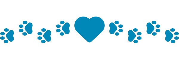 Your paragraph text (2).png